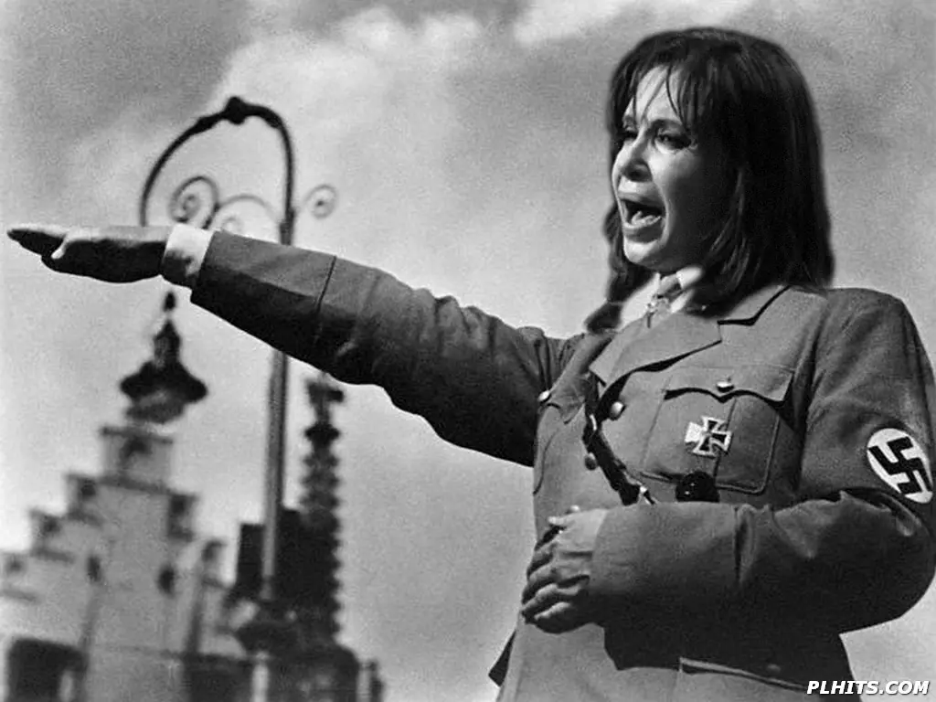 Historia del Kirchnerismo y grupos nazis