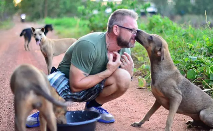 Gasta todo su dinero para alimentar a 80 perros callejeros
