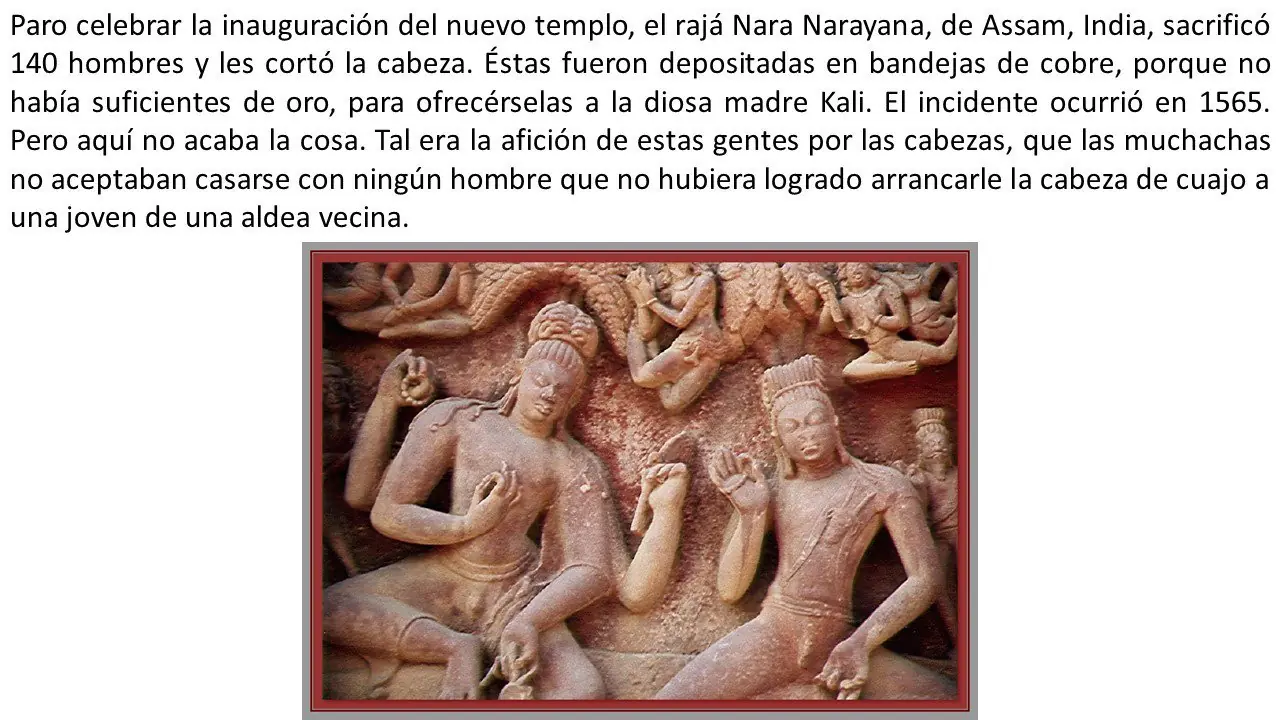 curiosos