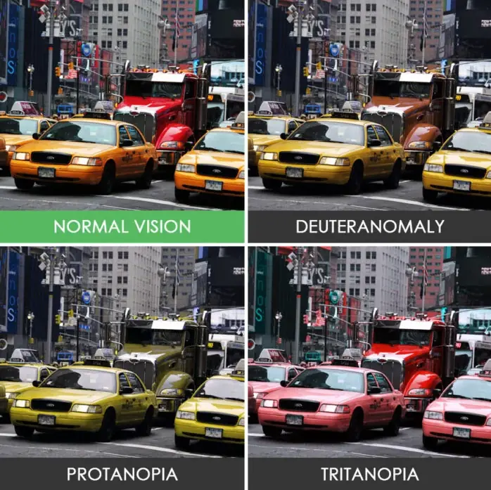 Vision