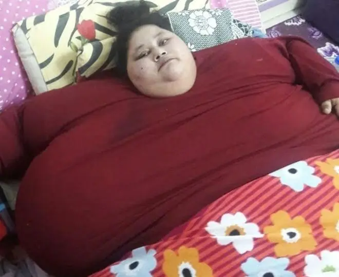 250 kilos 250 kilos
