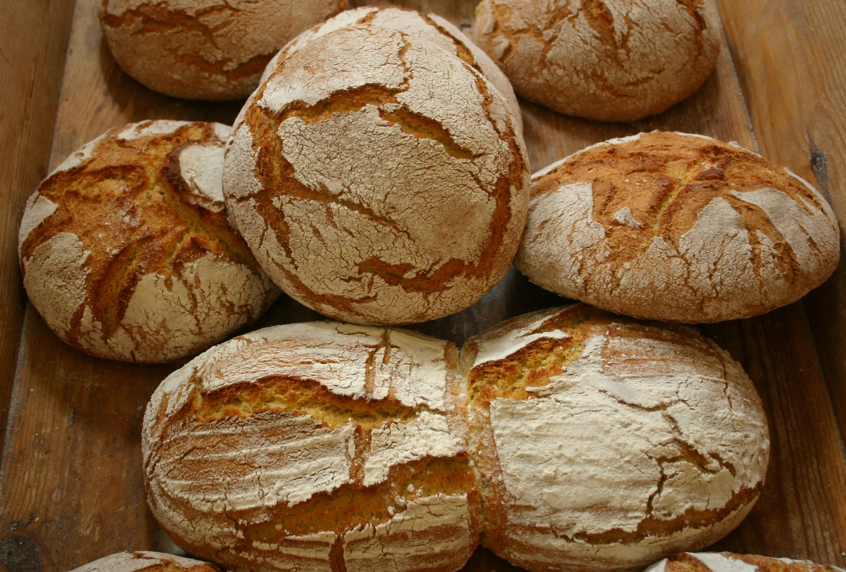 Pan