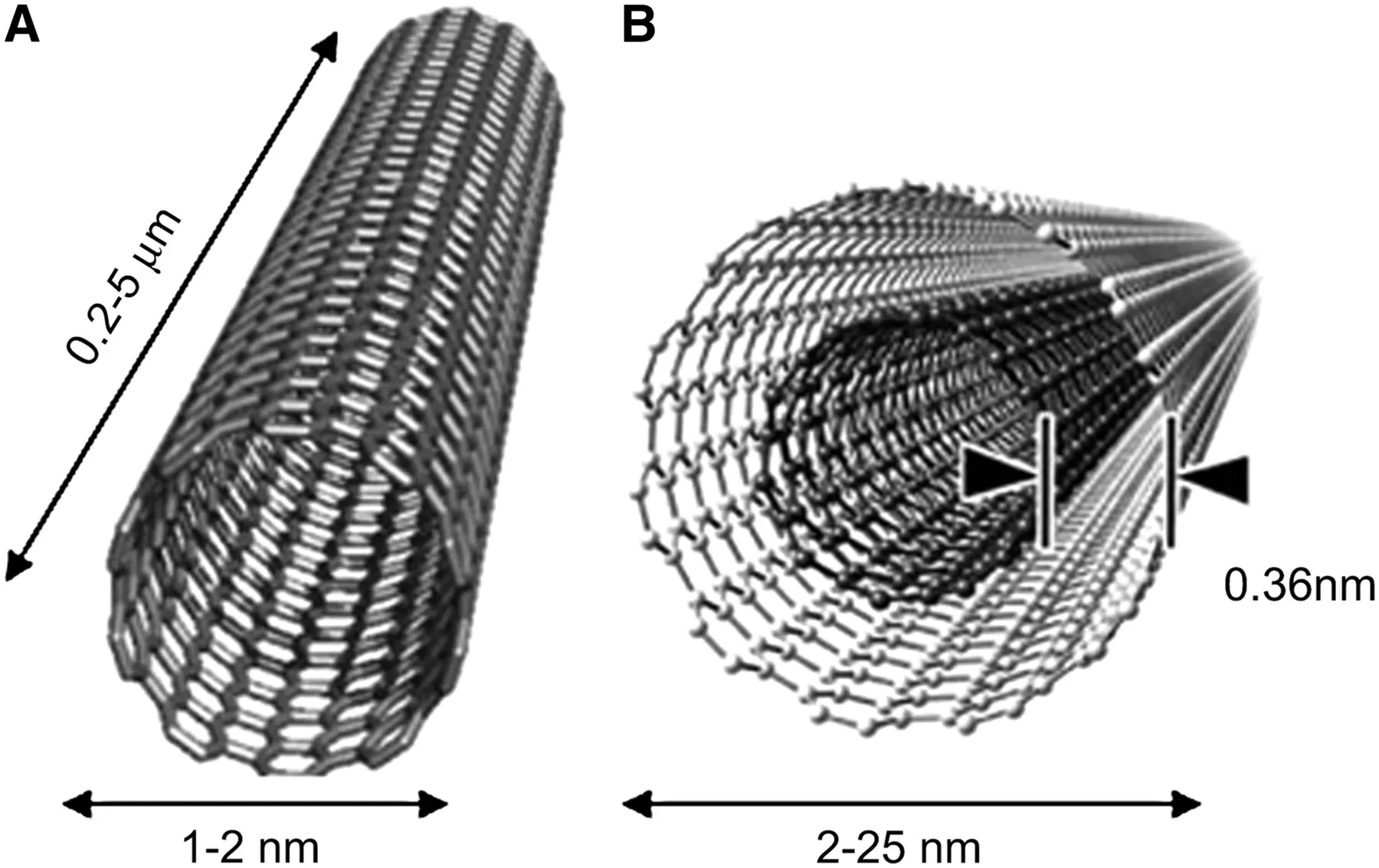 nanotubos