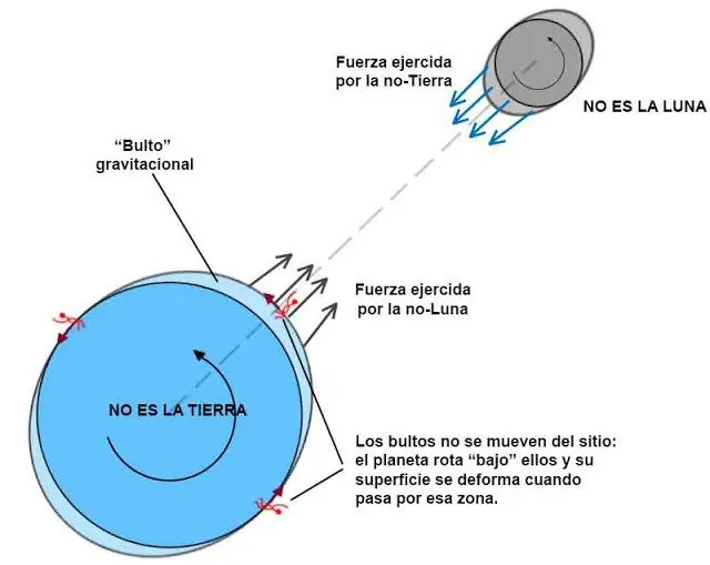 educacion