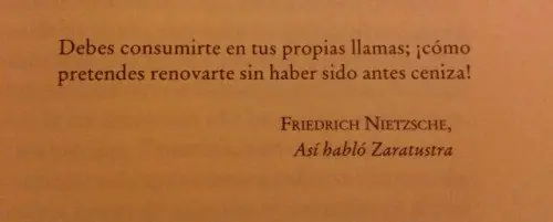 23 frases geniales de Frederich Nietzsche