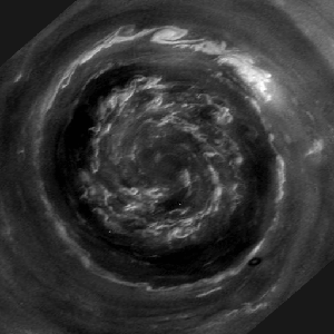 Ahorra tiempo: noticias cientificas semanales en este post!