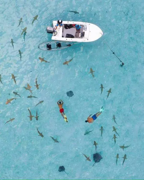 Fotos re locas que tenes que ver parte 191