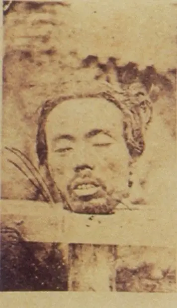Satsuma