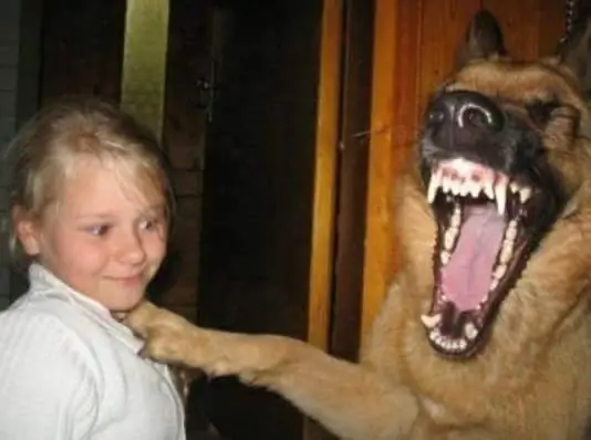 WTF