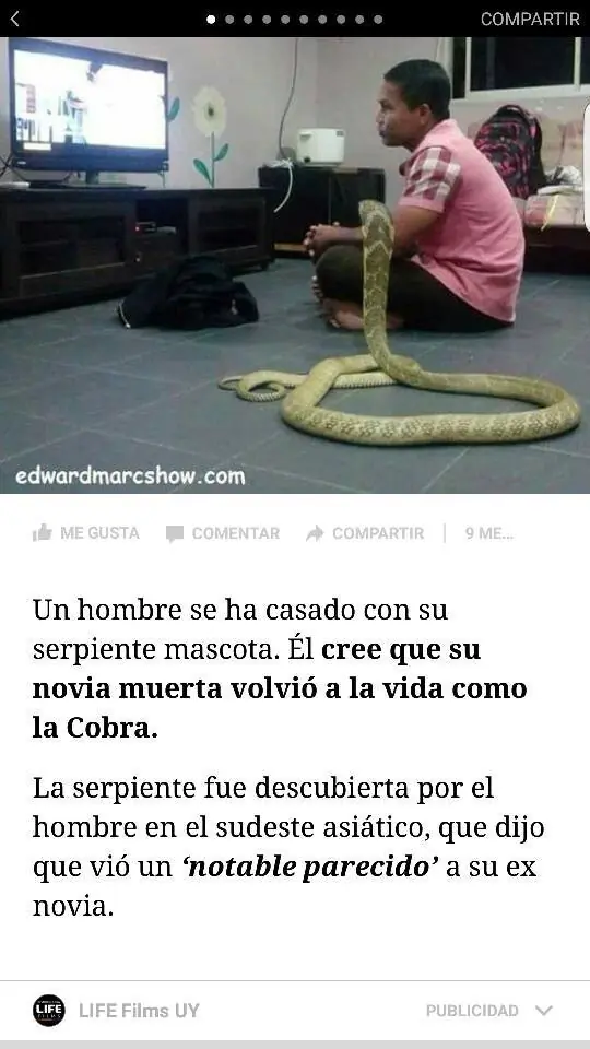 Mirate estas imagenes rufian