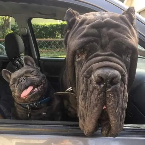 Sábado y en el laburo? Relajate Maquinola - MacriWeek