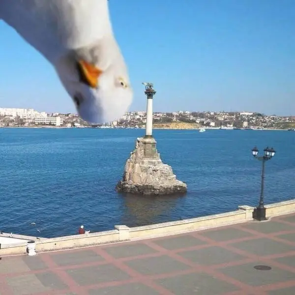 bienvenidos
