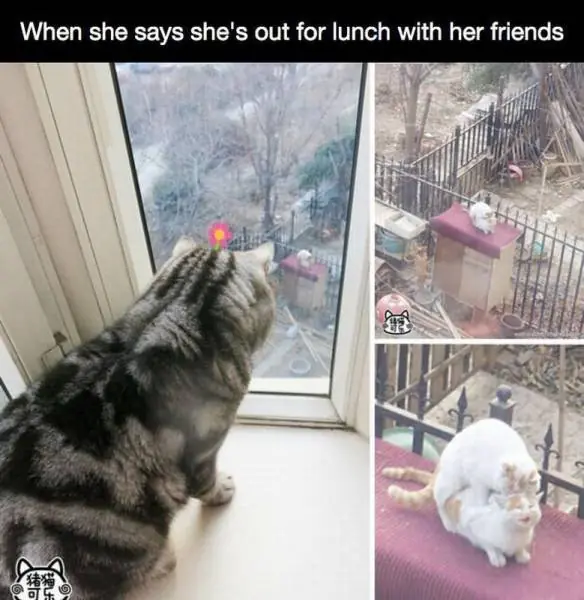Curiosas y divertidas imagenes de humor!