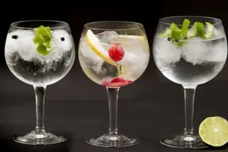 ¨GinTonic¨ ¿Divinidad o Pecado?