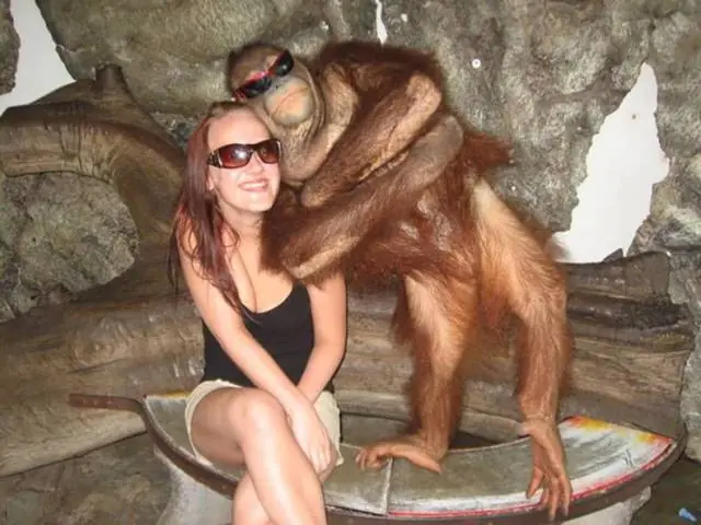 Curiosas y divertidas imagenes de humor!