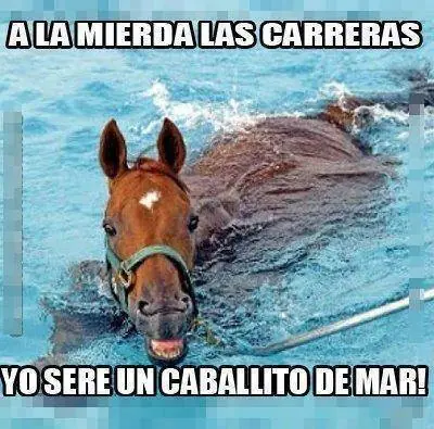 meme