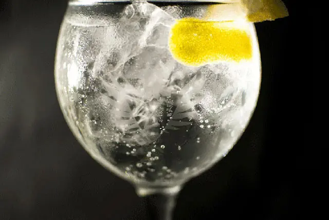 gin tonic