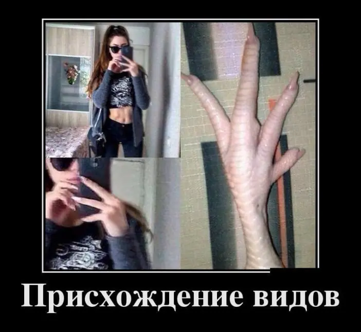 funny