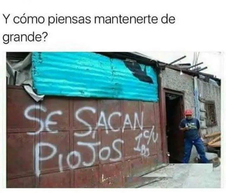 fotos