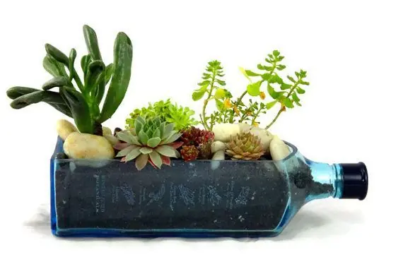cocteleria