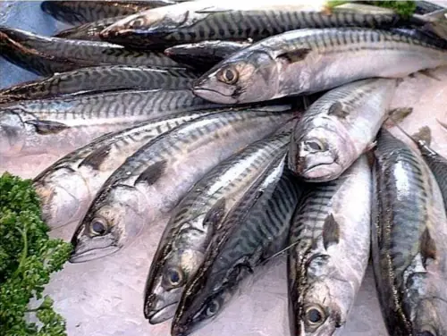 nutricion