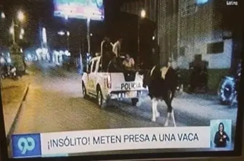 noticieros