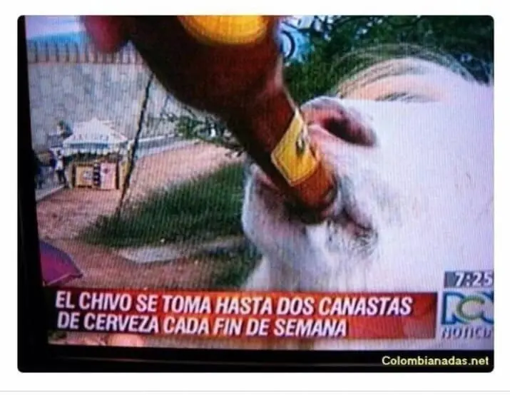 errores