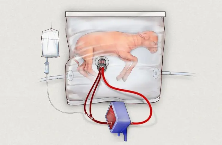 Científicos crean útero artificial (video)