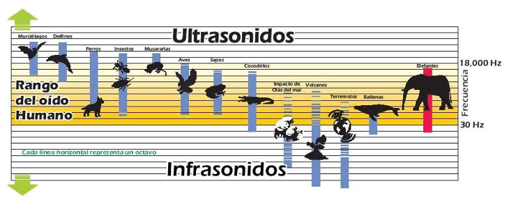 percepcion