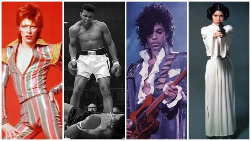 mohamed ali mohamed ali