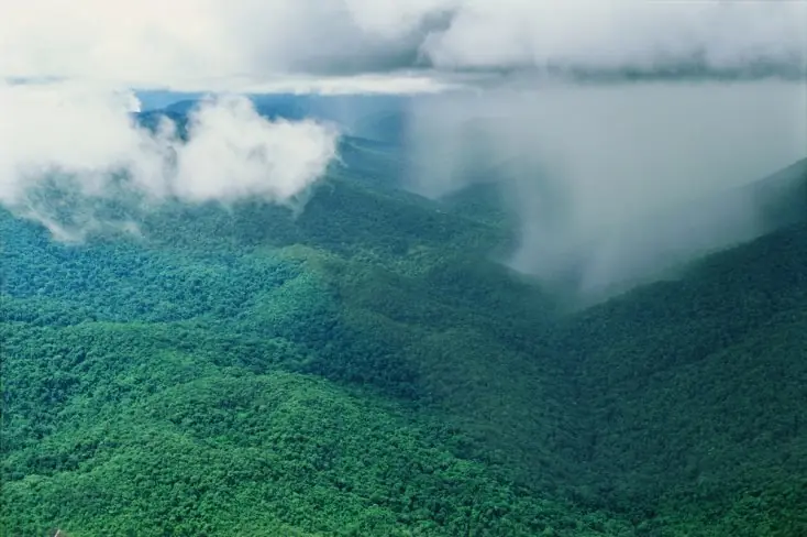 Los siete misterios de La Selva que aún siguen sin resolver…