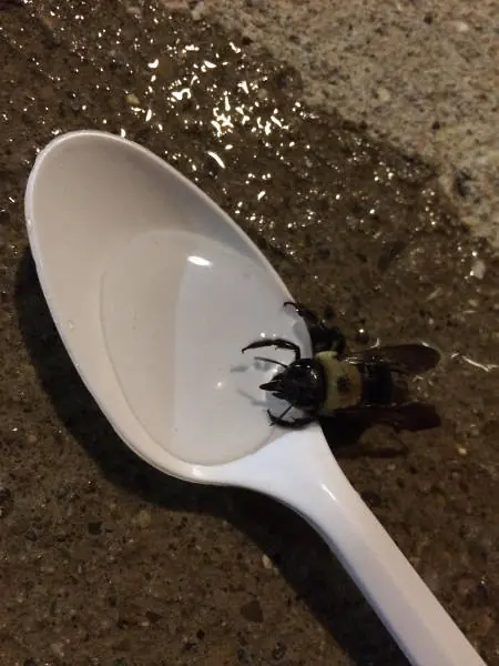 Fotos re locas que tenes que ver parte 195