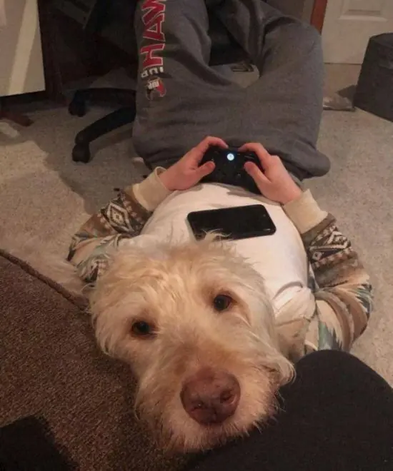 Fotos re locas que tenes que ver parte 195