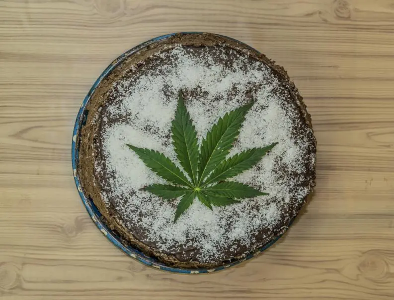 cannabis