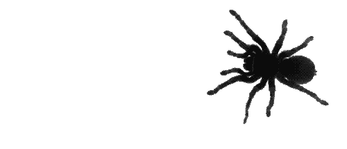 Como Funcionan Las Tarantulas