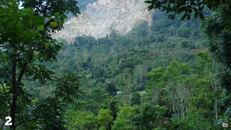 Los siete misterios de La Selva que aún siguen sin resolver… Los siete misterios de La Selva que aún siguen sin resolver…