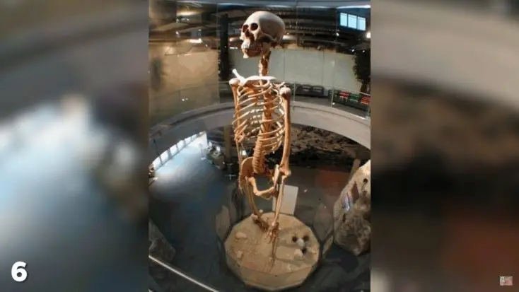 Los siete misterios de La Selva que aún siguen sin resolver… Los siete misterios de La Selva que aún siguen sin resolver…