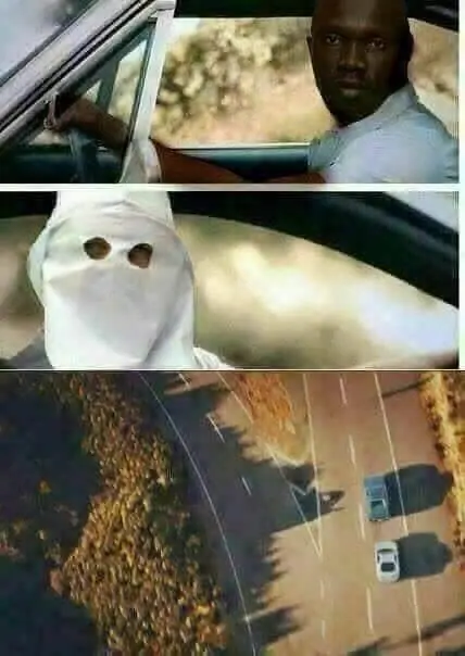 Mirate estas imagenes rufian