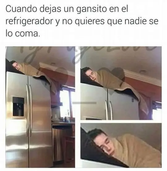 50 imagenes de Humor Lincesco #42
