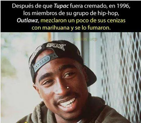 Imagenes de humor perturbador