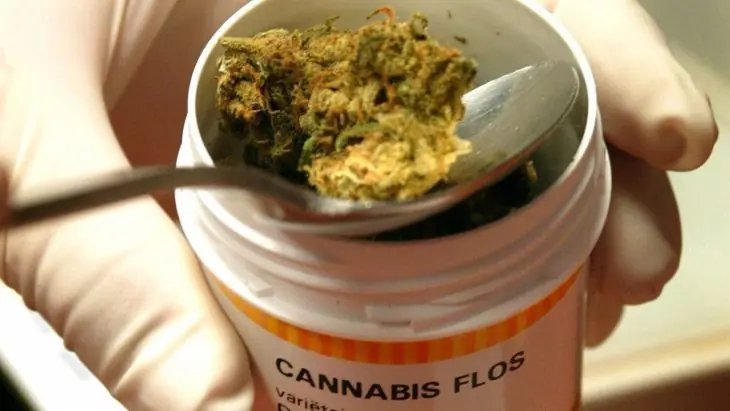 cannabis