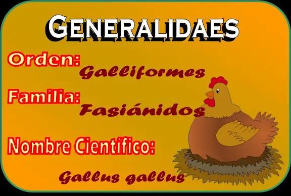 aves