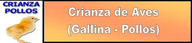 Crianza de Aves (Gallina, Pollos) - Generalidades y Origenes