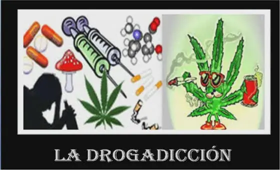 consejos