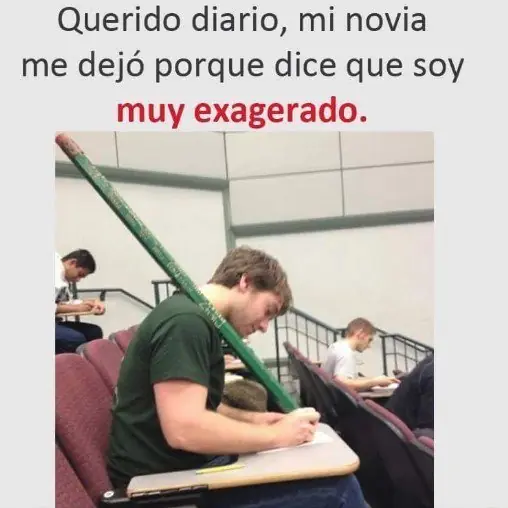 el dia