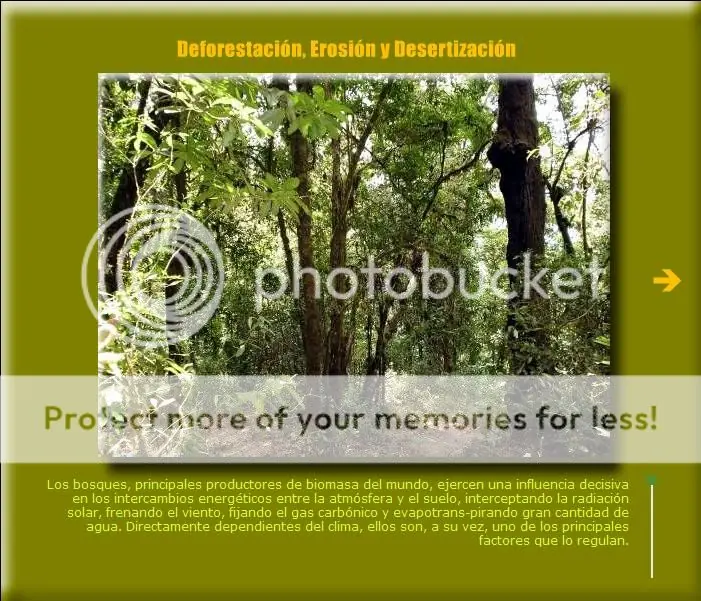deforestación deforestación