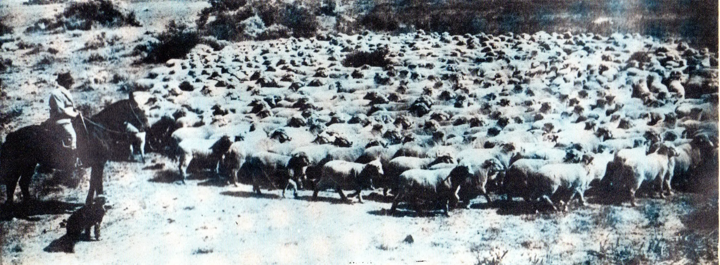 historia argentina