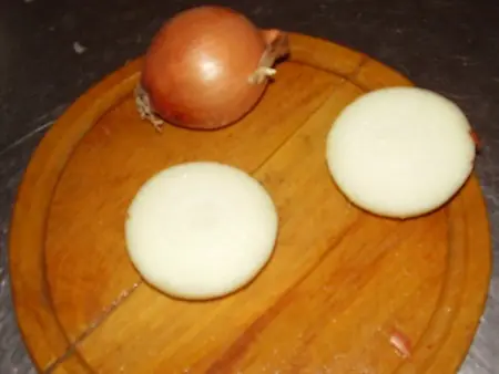 Mayo Mayo