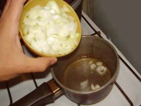 Mayo Mayo