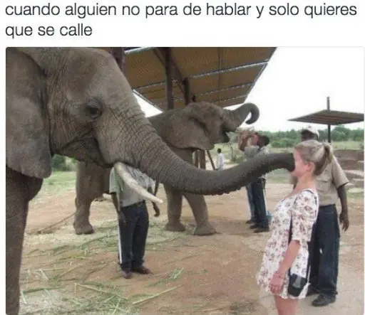 alegra